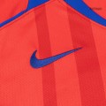 VITINHA #17 PSG Third Jersey 2025/26