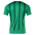 Northern Ireland Home Jersey 2024